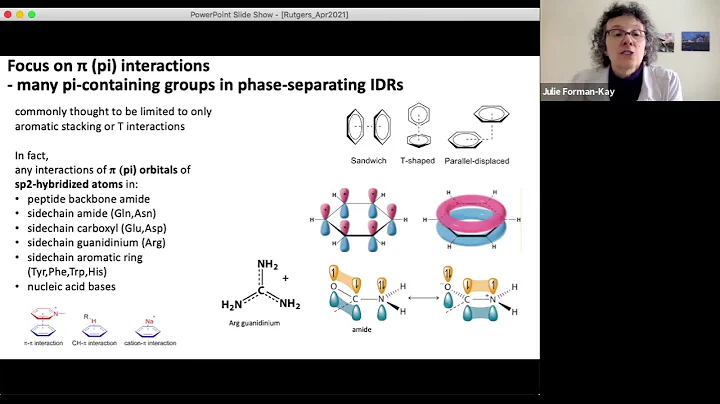 IQB Spring 2021 Seminar - Dr. Julie Forman Kay