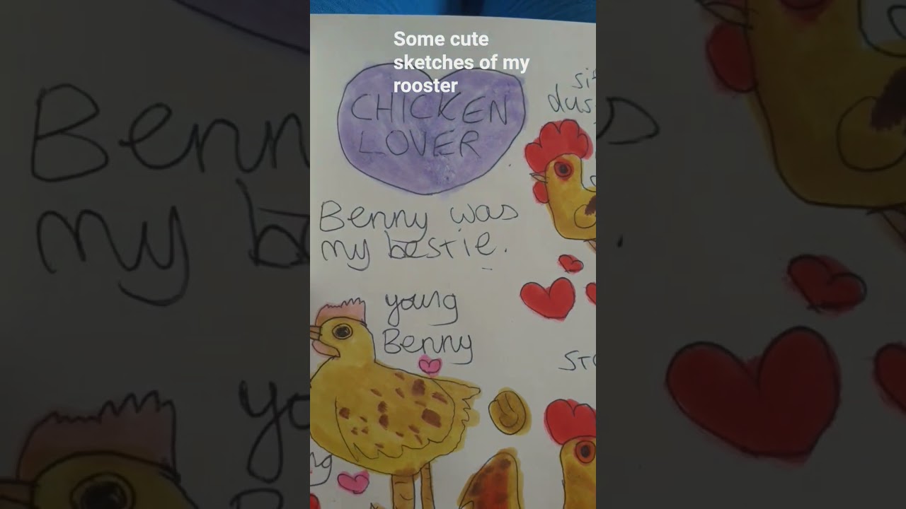 Some sketches of my rooster 