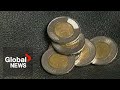 Dodgy toonies cbsa says it nabbed man with 26000 fake 2 coins from china