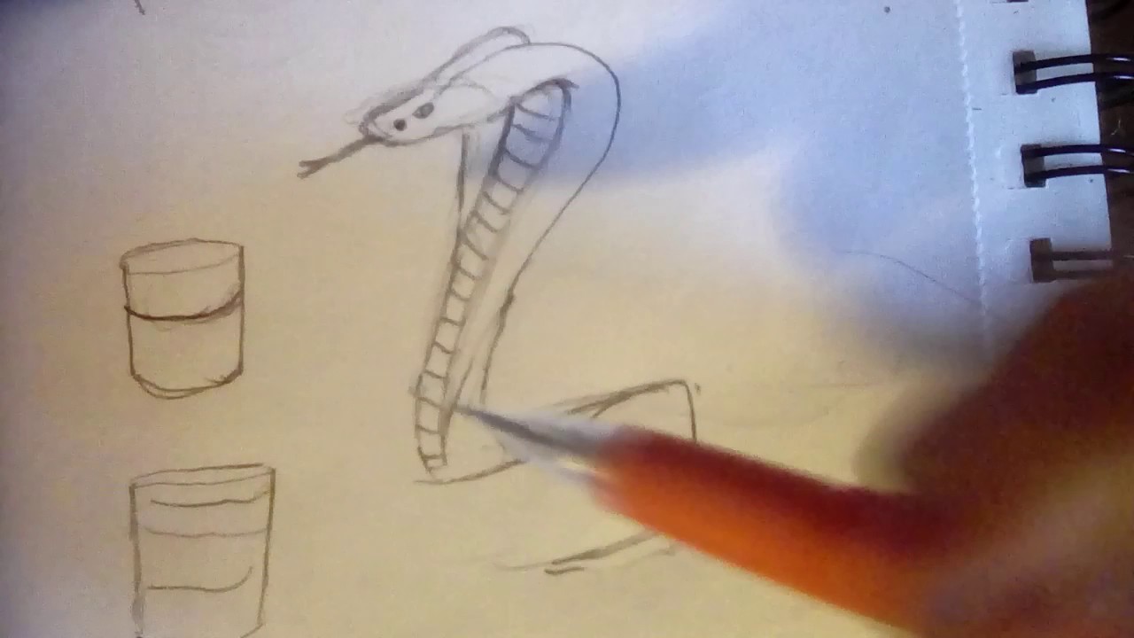 How to Draw a Cobra - YouTube