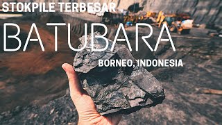 Aktivitas di stockpile batubara kalimantan