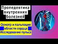 Пропедевтика внутренних болезней | Осмотр и пальпация области сердца | Исследование пульса