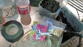 My Winter Sowing Assembly Work Station 2023 | What You Need To Start Winter Sowing Seedlings @JuicingGardener