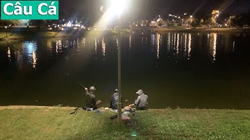 Câu Cá Thư Giãn bên bờ Hồ Xuân Hương - thành phố Đà Lạt | Giang Vlog