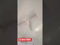 pankha chale to hawa deta he #shortsvideo #funny