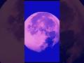 👽 #oblivion #music #new #newmusic #teaser #moon #beat #heavyocity #electronicmusic