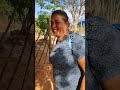 corre lá vem o Boi olho D'guinha ipu CE