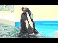 『鴨川シーワールド』シャチパフォーマンス♪終了後の風景④（2019/07/15）