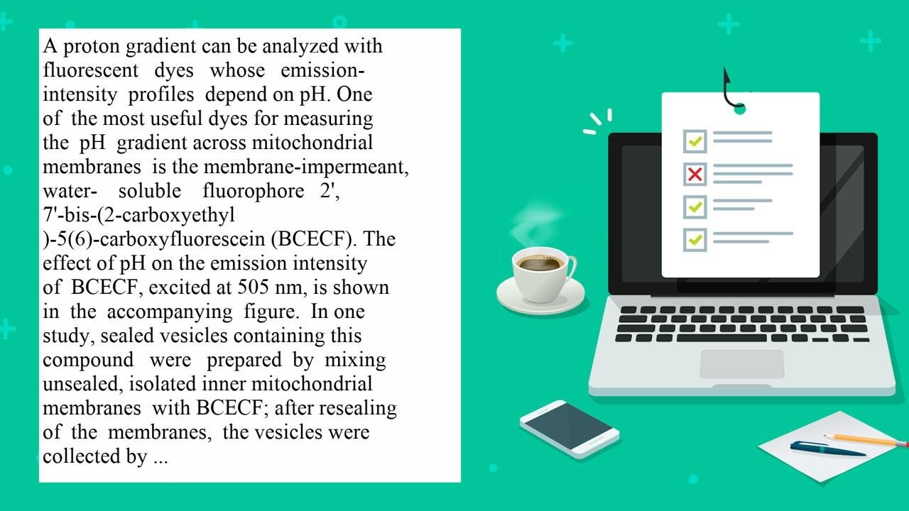 A proton gradient can be analyzed with fluorescent dyes whose emission intensity profiles depend ...