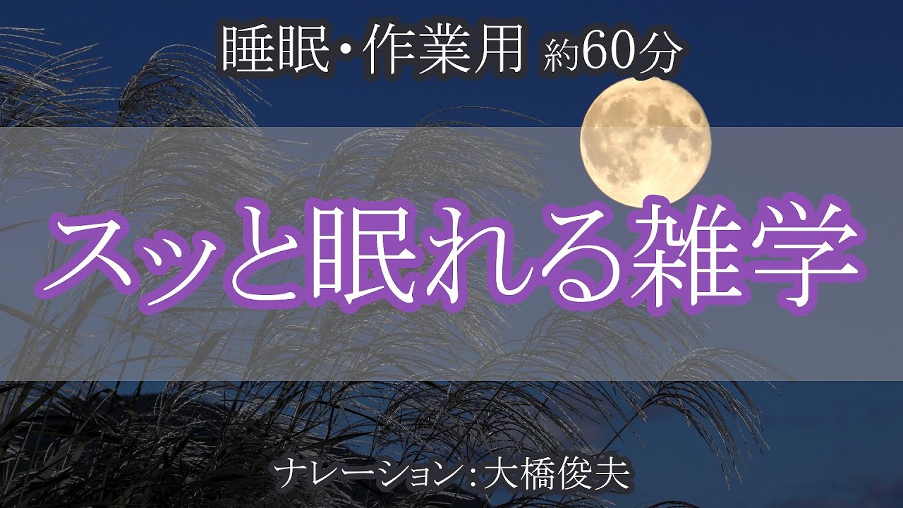 日本の国旗・日の丸が生まれたのはいつ？ /【朗読】一瞬で寝落ちできる雑学【聞くトリビア】