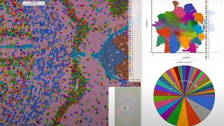 Demo: streamlined and powerful spatial data analysis with Illumina Connected Multiomics