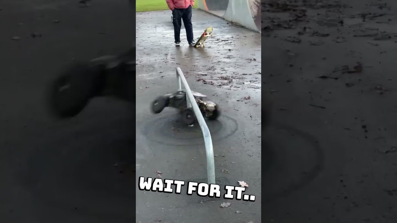 Rc Car Spin Cycle Wait For It 