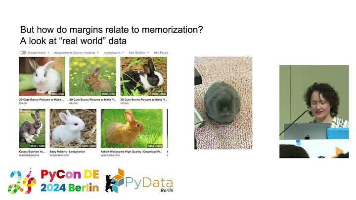 Your Model _Probably_ Memorized the Training Data [PyCon DE & PyData Berlin 2024]