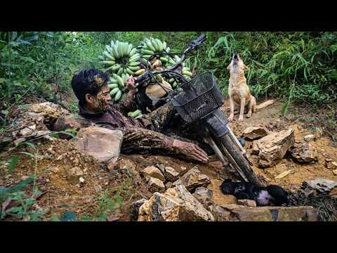 Today, my two dogs and I ran into trouble deep in the forest.