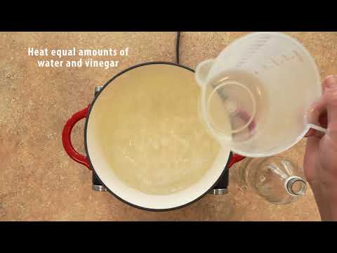 How to Quick-Pickle Anything!
