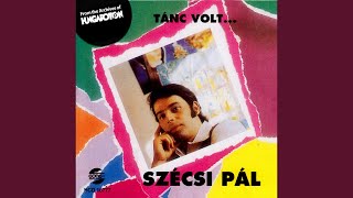 Video thumbnail of "Pál Szécsi - Hull az eső"
