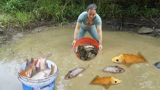 UniqueFishing:The village girl used a pump to drain the water from wild lake catch many fish