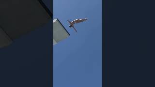 She jumps from a platform nearly 3 times higher than an Olympic diving board.