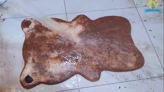 Dirty bear bath! Rug washing ASMR rug cleaning