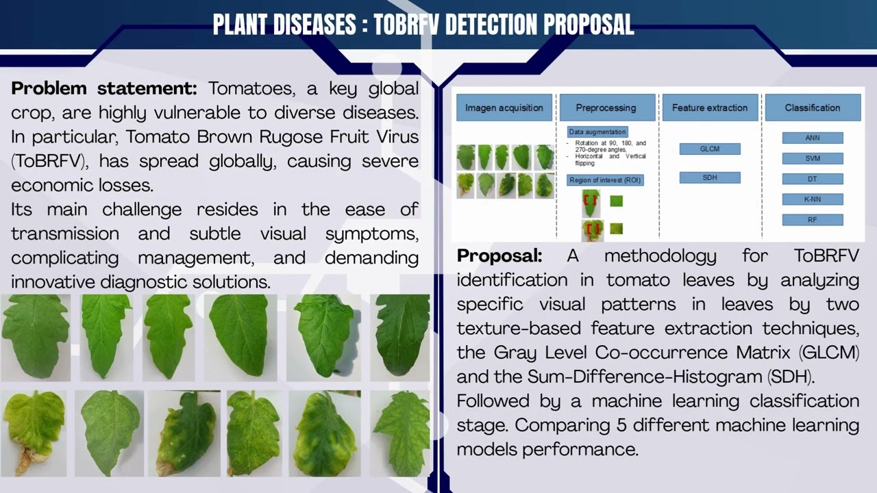 Feature extraction algorithms for efficient ToBRFV detection in tomato leaves