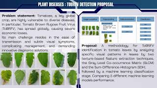Feature extraction algorithms for efficient ToBRFV detection in tomato leaves