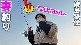 女1人で離島ランガンしてたら釣り場のおばあちゃんに…