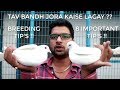 Taav bandh joda kaise lagay  pigeon breeding tips