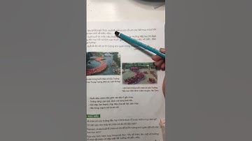 Bài đọc 2: Lễ chào cờ đặc biệt | Tiếng việt Lớp 3 - Tập 1 - Bài 1: Chào năm học mới