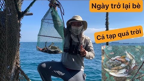 Câu Cá Biển, Câu Bè Nhơn Hải, Câu Cá Biển Tự Nhiên. TÝ FISHING ( Vietnamese fishing ).
