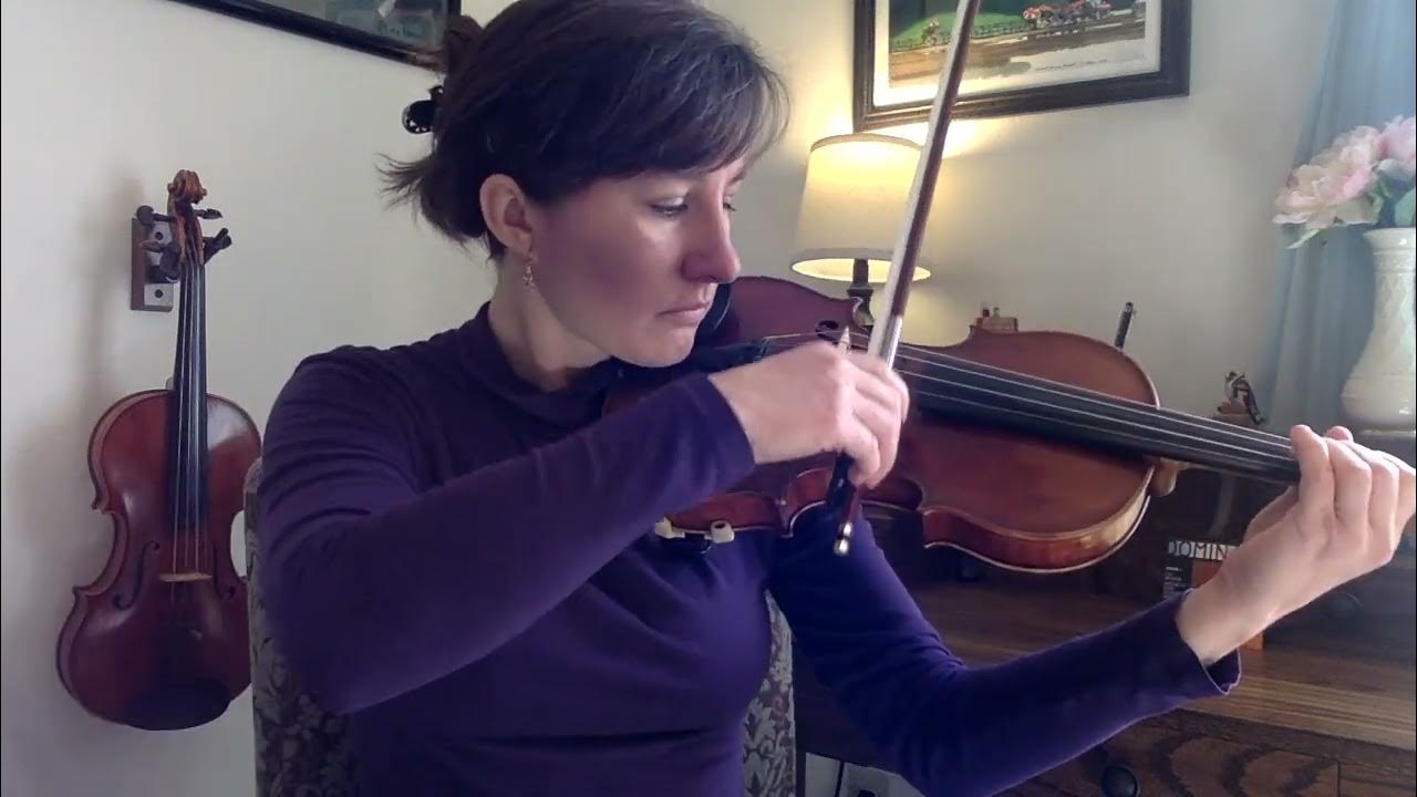 Beginner Violin Strings Review Ascente vs. Helicore vs. Dominants