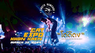 สิงโต นำโชค - โด่ ดิ ดง [ Live At CAT EXPO 2024 \