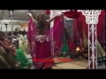 Transgender dancing and singing in marriage 1  new zealand  indian  transgender tradition