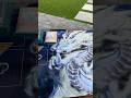 Yugioh Tenpai Dragon Sky Striker Deck Profile Post September Banlist