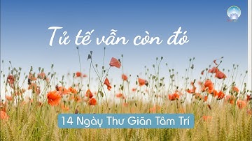 Thiền: Tử Tế Vẫn Còn Đó | Inner Space