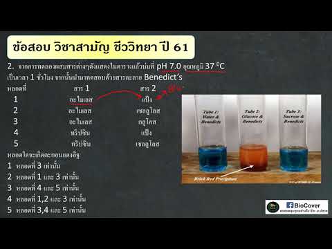 ชีววิทยา เฉลย 9 วิชาสามัญปี 61 ข้อ 2 : การทดสอบเบเนดิกซ์