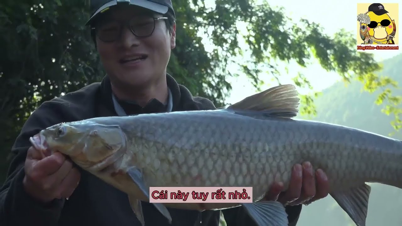 Câu Đài | Nuôi Ổ Săn Trắm Đen Hồ Tự Nhiên | Đăng Video - Entertainment