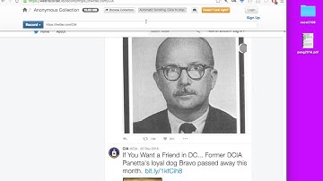 webrecorder + webarchiveplayer demo