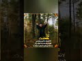 فخامة عاكف أمير حالات واتس اب فخمة 