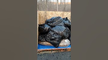 Winter composting using a compost bin