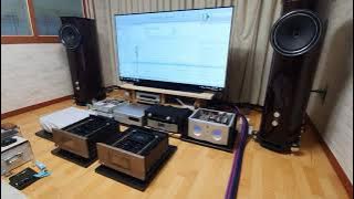 FYNE AUDIO F1-12 with FURUTECH FP-S55N ㅡ DSP-4.1 ㅡ DSS-4.1 _ Arne Domnerusㅡ Antiphone Blues