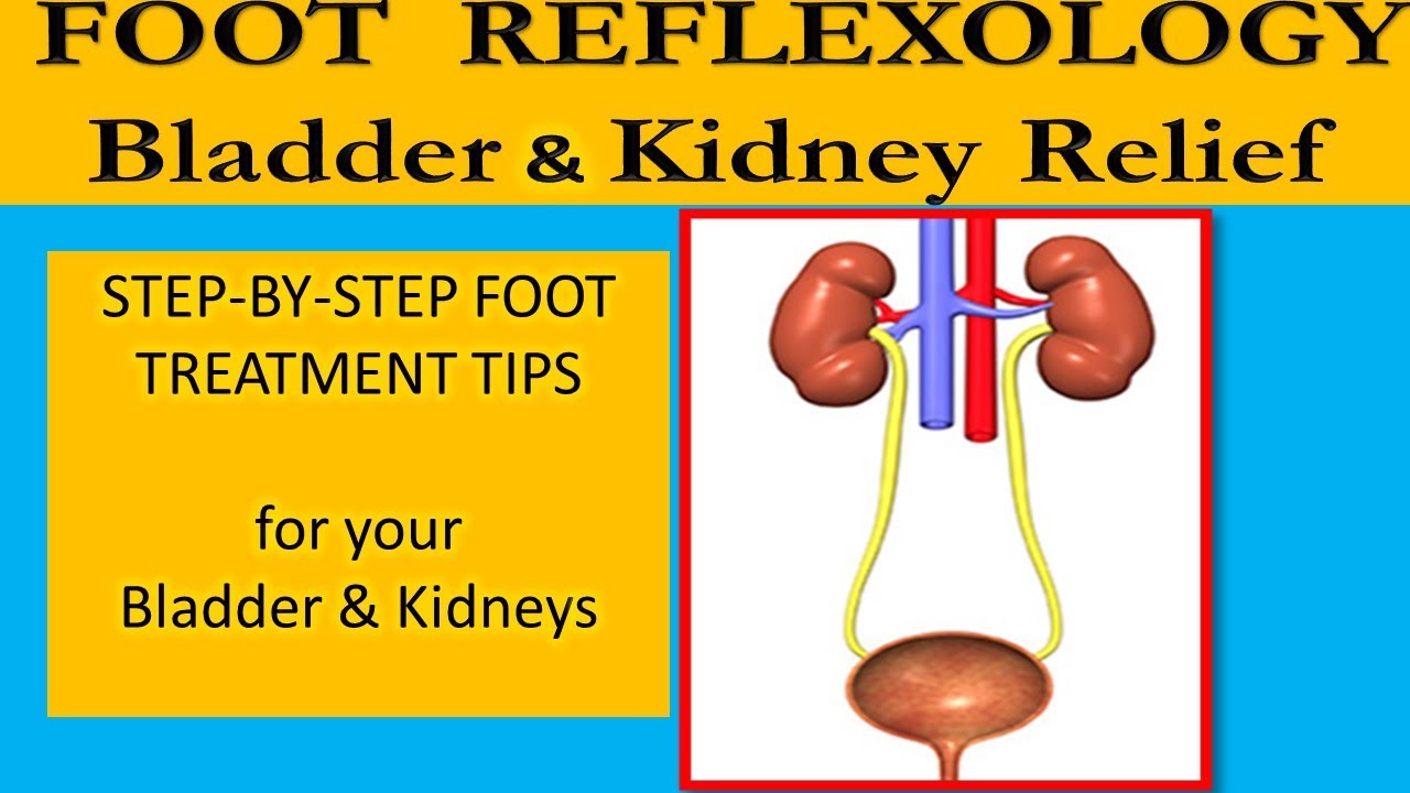 👣How to Do Foot Reflexology on the Bladder. Kidneys, Ureter to Improve
