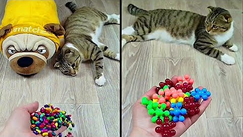 Satisfying Reverse Video ASMR 💥 Marble Run and More