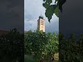 The Bells Of Lana South Tyrol Campane Bells Glocken Grassmayr Südtirol Shorts Viral The Bells Of Lana South Tyrol Campane Bells Glocken Grassmayr Südtirol Shorts Viral