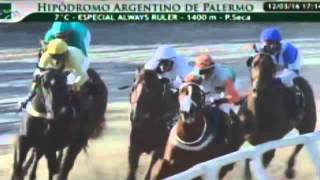 2016/03/12 - Palermo - DISTINTO RYE