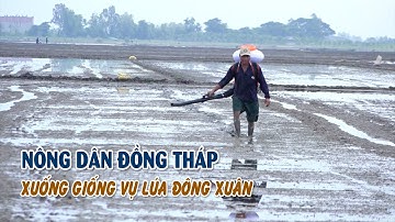 Người dân đầu nguồn xuống giống vụ lúa Đông Xuân | BẢN TIN NÔNG NGHIỆP 04/11/2024