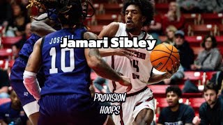 Jamari Sibley Southern Utah University 2023-24 Highlights