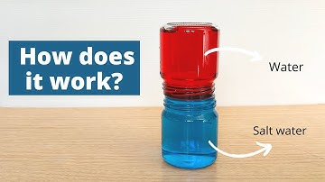 Water Density Experiment | Why Salt Water and Fresh Water Don