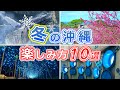 【冬の沖縄本島】冬にするべきアクティビティや観光スポットを10選紹介します♪初心者必見です!