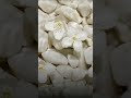 Os benefícios do jasmim e a melhor forma de utilizá-lo!
