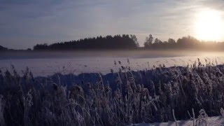 LATVIA. WINTER